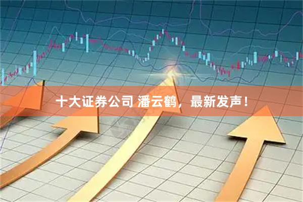 十大证券公司 潘云鹤，最新发声！